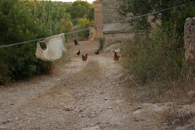 Descubre las emocionantes reglas jugando a Chicken Road en un casino de España Descubre las emocionantes reglas jugando a Chicken Road en un casino de España